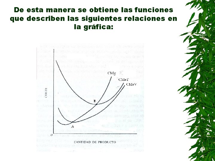 De esta manera se obtiene las funciones que describen las siguientes relaciones en la