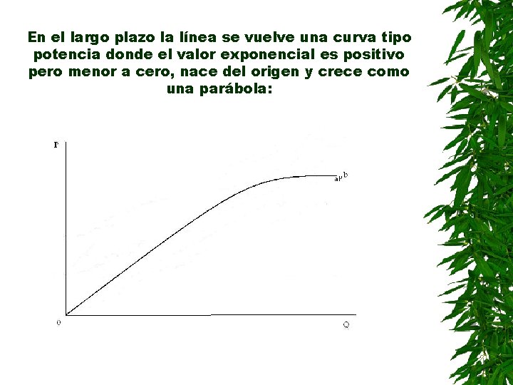 En el largo plazo la línea se vuelve una curva tipo potencia donde el