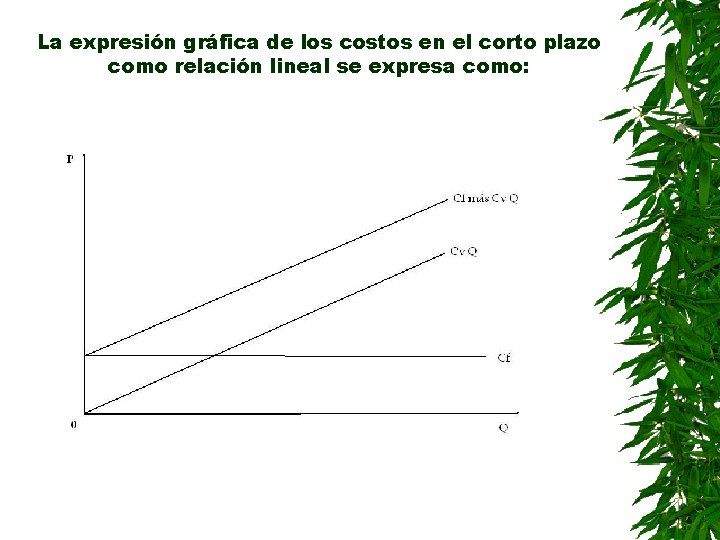 La expresión gráfica de los costos en el corto plazo como relación lineal se