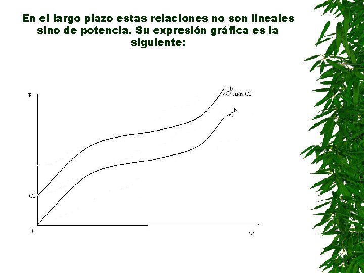 En el largo plazo estas relaciones no son lineales sino de potencia. Su expresión