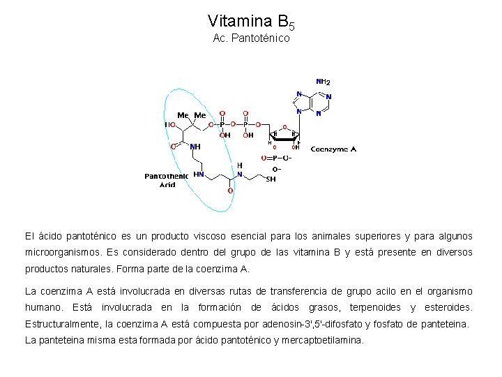 Vitamina B 5 Ac. Pantoténico El ácido pantoténico es un producto viscoso esencial para