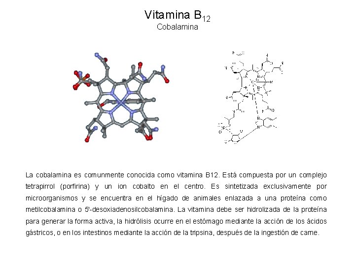 Vitamina B 12 Cobalamina La cobalamina es comunmente conocida como vitamina B 12. Está