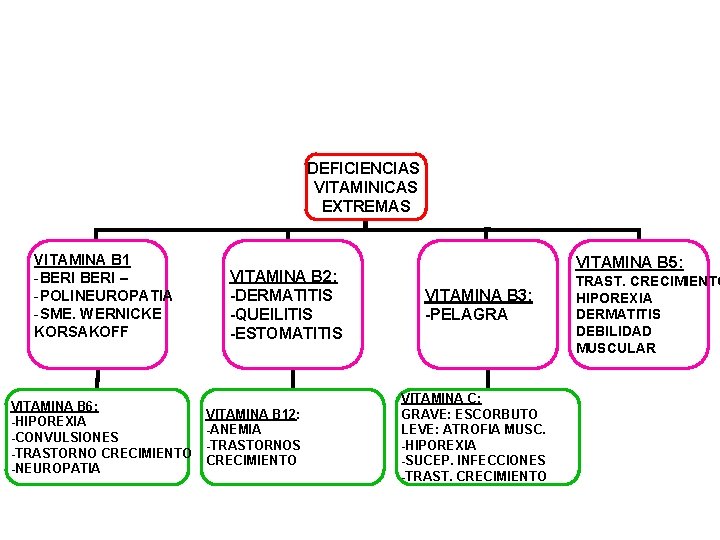 DEFICIENCIAS VITAMINICAS EXTREMAS VITAMINA B 1 -BERI – -POLINEUROPATIA -SME. WERNICKE KORSAKOFF VITAMINA B