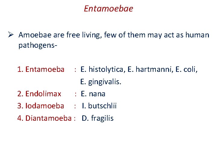 Entamoebae Ø Amoebae are free living, few of them may act as human pathogens