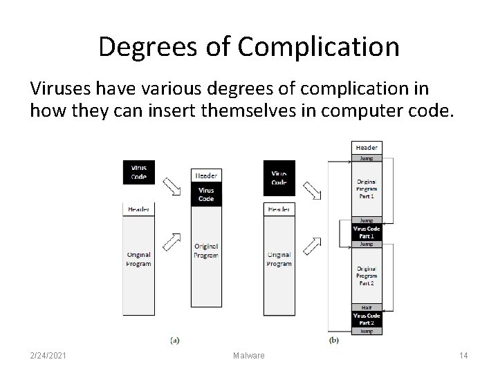 Degrees of Complication Viruses have various degrees of complication in how they can insert