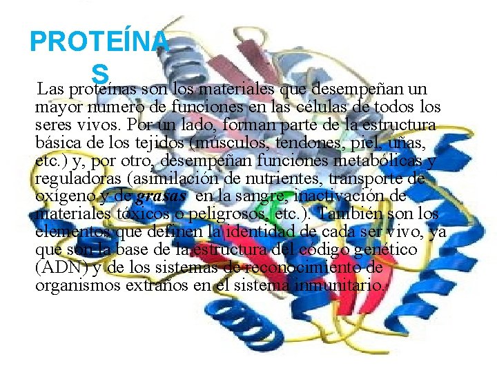 PROTEÍNA S Las proteínas son los materiales que desempeñan un mayor numero de funciones