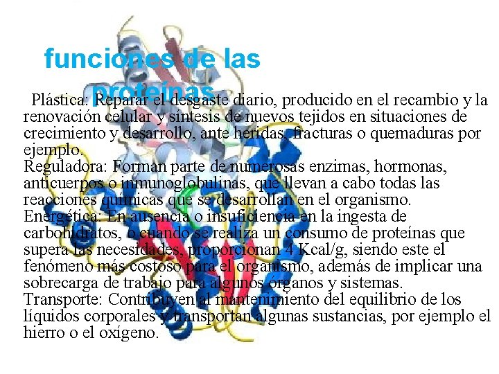 funciones de las proteínas Plástica: Reparar el desgaste diario, producido en el recambio y