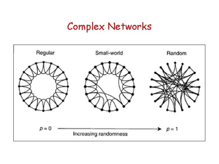 Complex Networks 