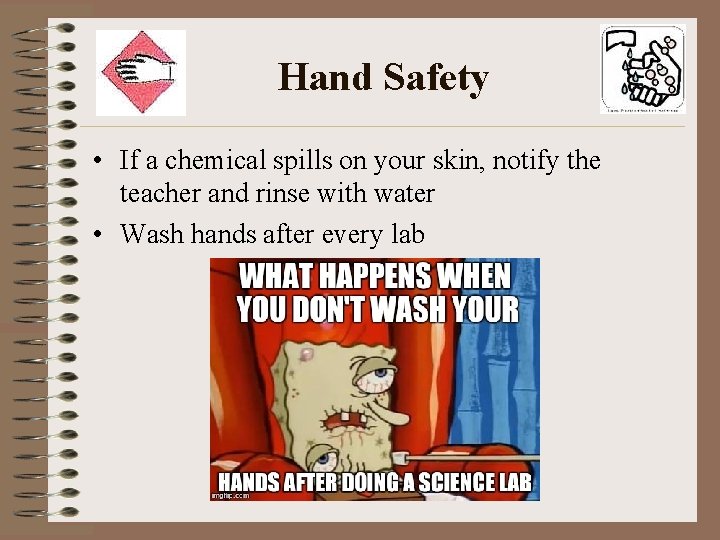 Hand Safety • If a chemical spills on your skin, notify the teacher and