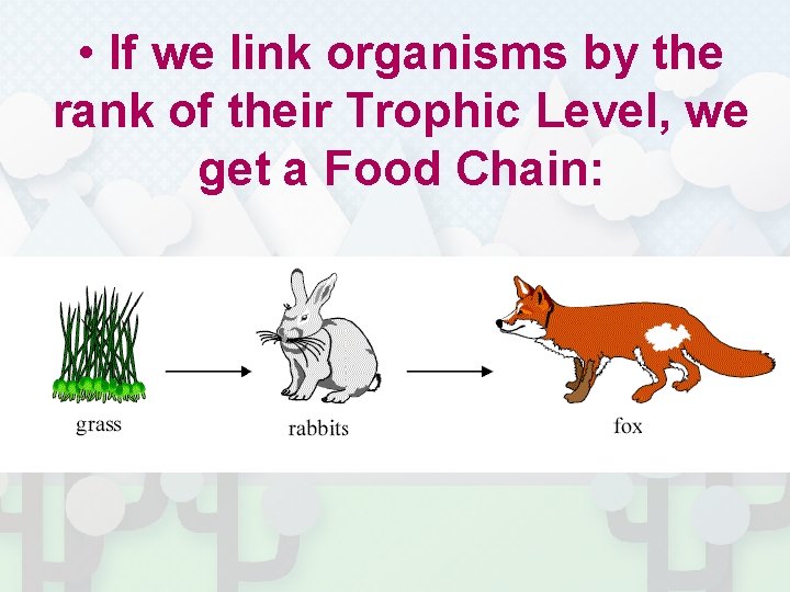  • If we link organisms by the rank of their Trophic Level, we