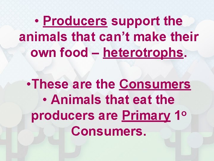  • Producers support the animals that can’t make their own food – heterotrophs.