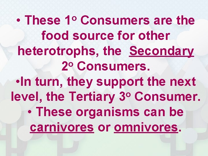  • These 1 o Consumers are the food source for other heterotrophs, the