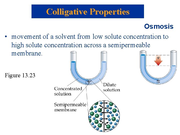 Colligative Properties Osmosis • movement of a solvent from low solute concentration to high