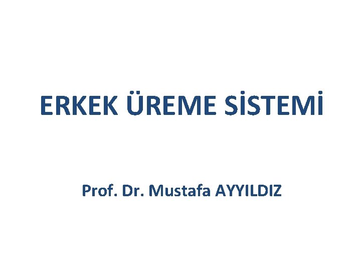 ERKEK ÜREME SİSTEMİ Prof. Dr. Mustafa AYYILDIZ ERKEK ÜREME SİSTEMİ Prof. Dr. Mustafa AYYILDIZ
