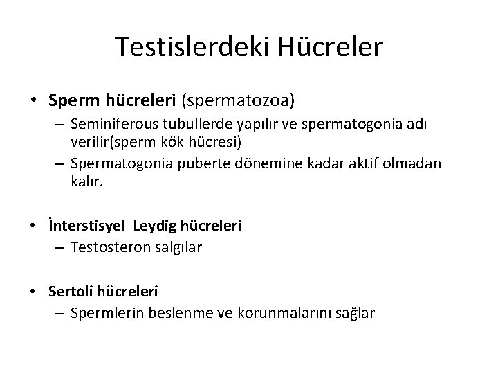 Testislerdeki Hücreler • Sperm hücreleri (spermatozoa) – Seminiferous tubullerde yapılır ve spermatogonia adı verilir(sperm Testislerdeki Hücreler • Sperm hücreleri (spermatozoa) – Seminiferous tubullerde yapılır ve spermatogonia adı verilir(sperm