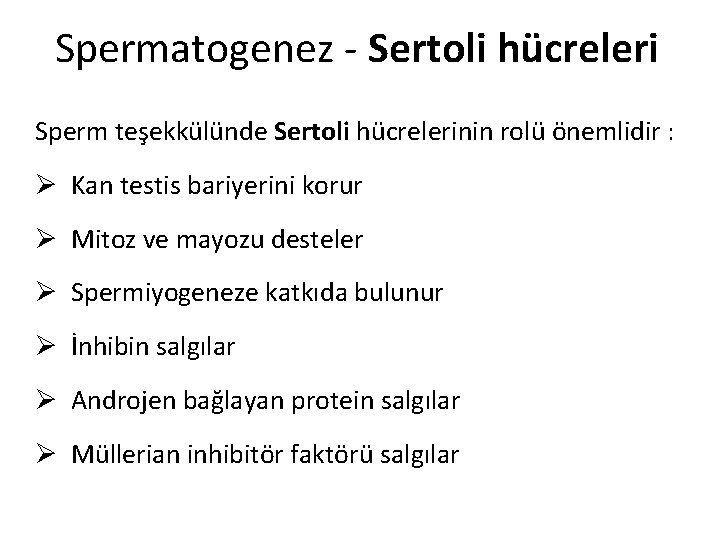 Spermatogenez - Sertoli hücreleri Sperm teşekkülünde Sertoli hücrelerinin rolü önemlidir : Ø Kan testis Spermatogenez - Sertoli hücreleri Sperm teşekkülünde Sertoli hücrelerinin rolü önemlidir : Ø Kan testis