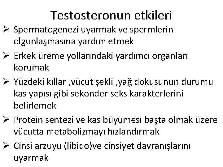 Testosteronun etkileri Ø Spermatogenezi uyarmak ve spermlerin olgunlaşmasına yardım etmek Ø Erkek üreme yollarındaki Testosteronun etkileri Ø Spermatogenezi uyarmak ve spermlerin olgunlaşmasına yardım etmek Ø Erkek üreme yollarındaki