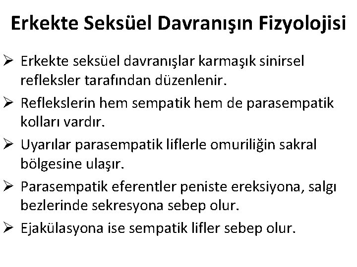 Erkekte Seksüel Davranışın Fizyolojisi Ø Erkekte seksüel davranışlar karmaşık sinirsel refleksler tarafından düzenlenir. Ø Erkekte Seksüel Davranışın Fizyolojisi Ø Erkekte seksüel davranışlar karmaşık sinirsel refleksler tarafından düzenlenir. Ø