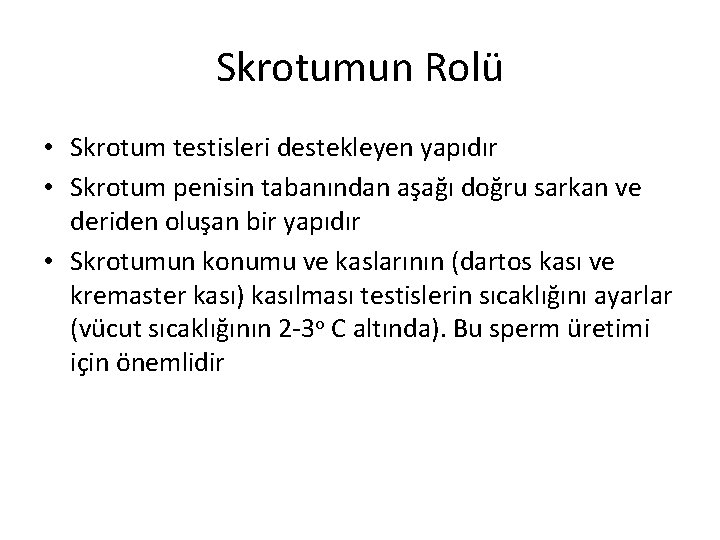 Skrotumun Rolü • Skrotum testisleri destekleyen yapıdır • Skrotum penisin tabanından aşağı doğru sarkan Skrotumun Rolü • Skrotum testisleri destekleyen yapıdır • Skrotum penisin tabanından aşağı doğru sarkan