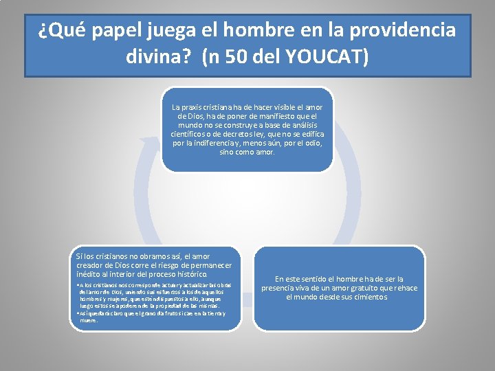 ¿Qué papel juega el hombre en la providencia divina? (n 50 del YOUCAT) La