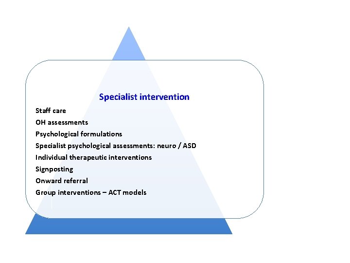 Specialist intervention Staff care OH assessments Psychological formulations Specialist psychological assessments: neuro / ASD