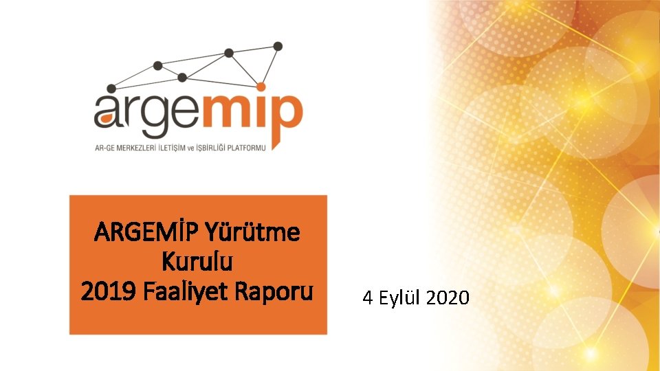 ARGEMİP Yürütme Kurulu 2019 Faaliyet Raporu 4 Eylül 2020 