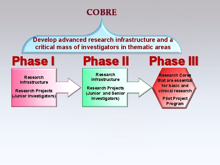 COBRE Develop advanced research infrastructure and a critical mass of investigators in thematic areas