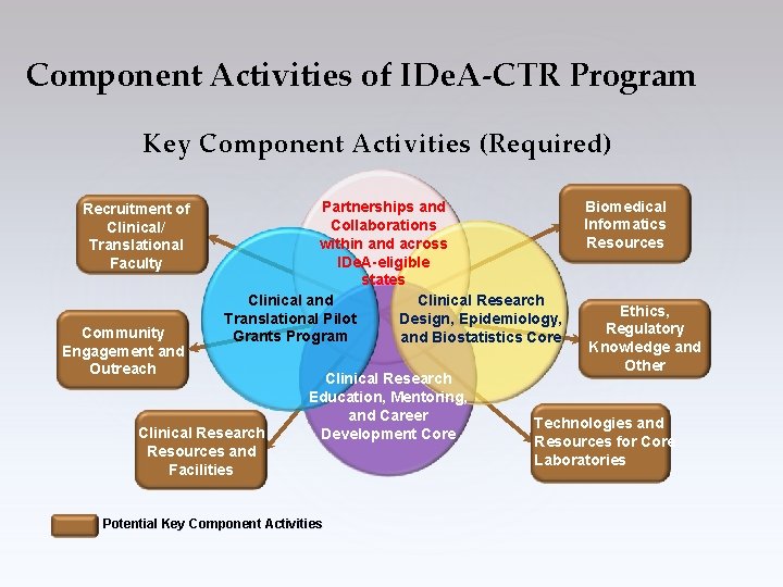 Component Activities of IDe. A-CTR Program Key Component Activities (Required) Recruitment of Clinical/ Translational