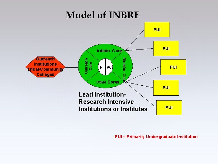 Model of INBRE PUI PI PC Other Cores Bioinfor. Core Outreach Institutions Tribal/Community Colleges