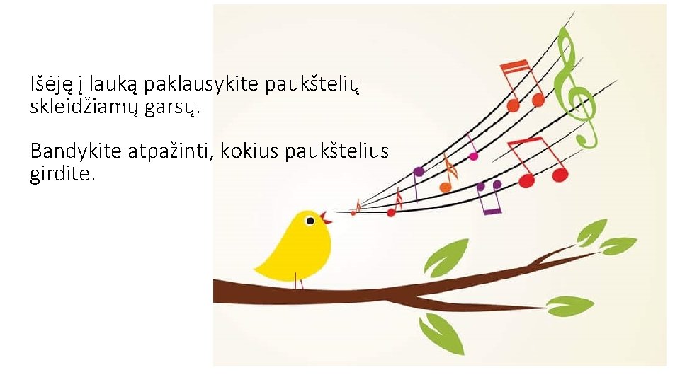 Išėję į lauką paklausykite paukštelių skleidžiamų garsų. Bandykite atpažinti, kokius paukštelius girdite. 