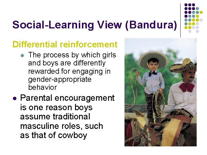 Social-Learning View (Bandura) Differential reinforcement l l The process by which girls and boys