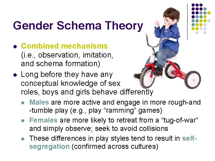 Gender Schema Theory l l Combined mechanisms (i. e. , observation, imitation, and schema