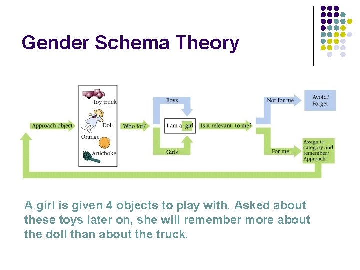 Gender Schema Theory A girl is given 4 objects to play with. Asked about