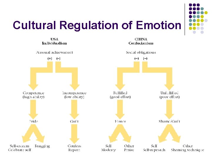 Cultural Regulation of Emotion 