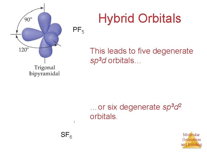 Hybrid Orbitals PF 5 This leads to five degenerate sp 3 d orbitals… …or