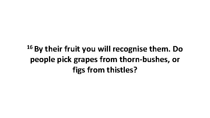16 By their fruit you will recognise them. Do people pick grapes from thorn-bushes,