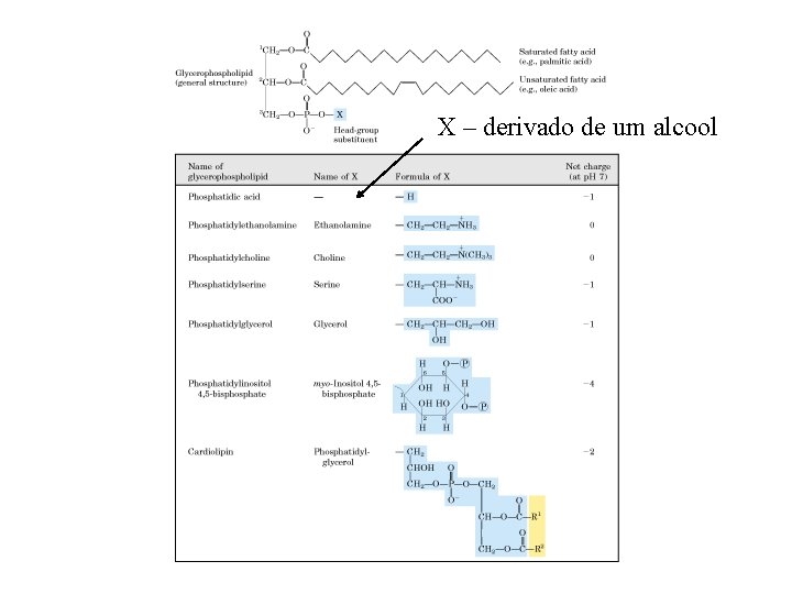 X – derivado de um alcool 