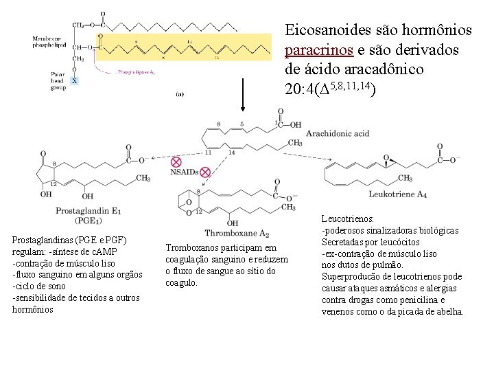 Eicosanoides são hormônios paracrinos e são derivados de ácido aracadônico 20: 4(D 5, 8,