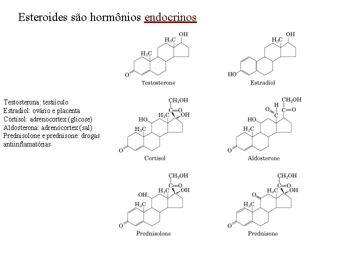 Esteroides são hormônios endocrinos Testosterona: testiículo Estradiol: ovário e placenta Cortisol: adrenocortex (glicose) Aldosterona: