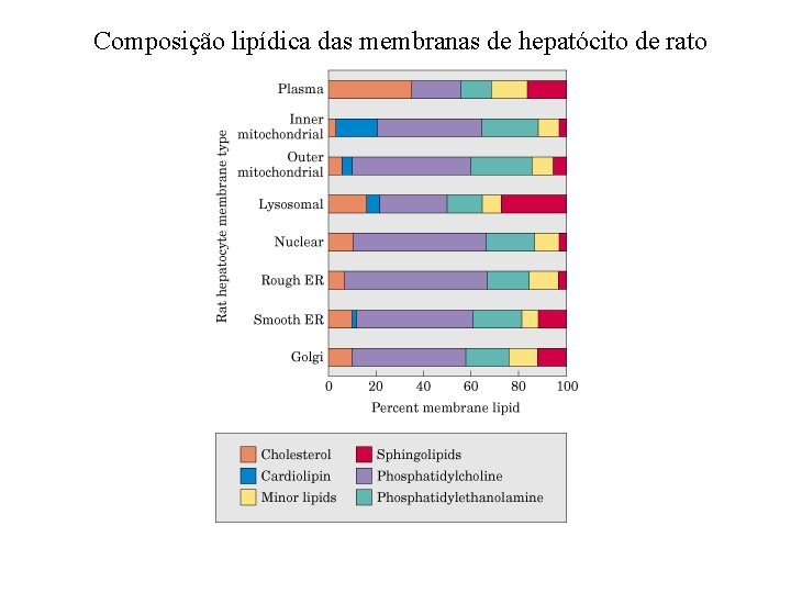 Composição lipídica das membranas de hepatócito de rato 