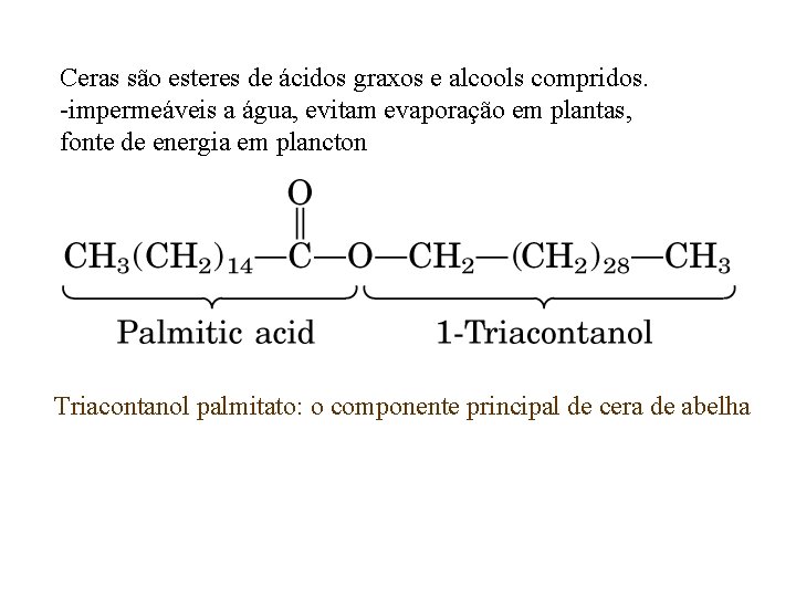 Ceras são esteres de ácidos graxos e alcools compridos. -impermeáveis a água, evitam evaporação