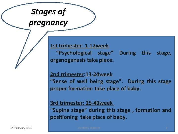 Pregnancy trimester breakdown week