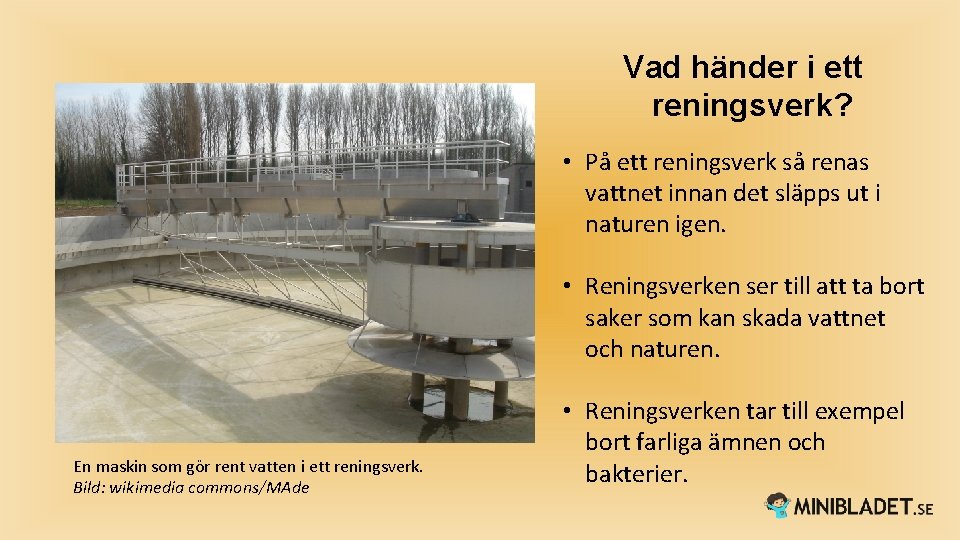 Vad händer i ett reningsverk? • På ett reningsverk så renas vattnet innan det