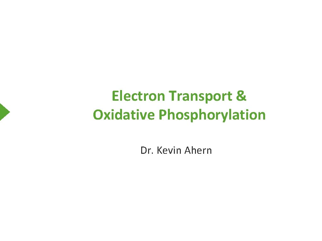 Electron Transport & Oxidative Phosphorylation Dr. Kevin Ahern 