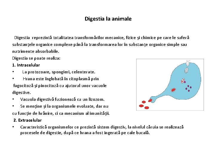 Digestia la animale Digestia reprezintă totalitatea transformărilor mecanice, fizice și chimice pe care le