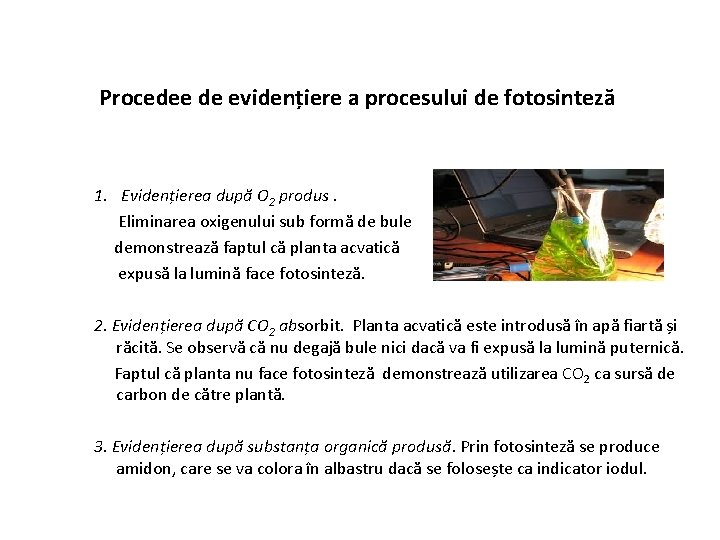 Procedee de evidențiere a procesului de fotosinteză 1. Evidențierea după O 2 produs. Eliminarea