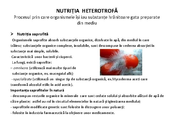 NUTRIȚIA HETEROTROFĂ Procesul prin care organismele își iau substanțe hrănitoare gata preparate din mediu