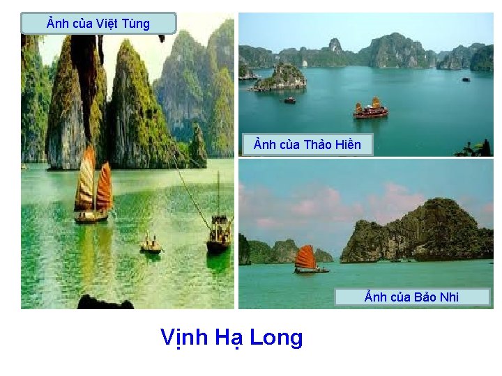 Ảnh của Việt Tùng Ảnh của Thảo Hiền Ảnh của Bảo Nhi Vịnh Hạ