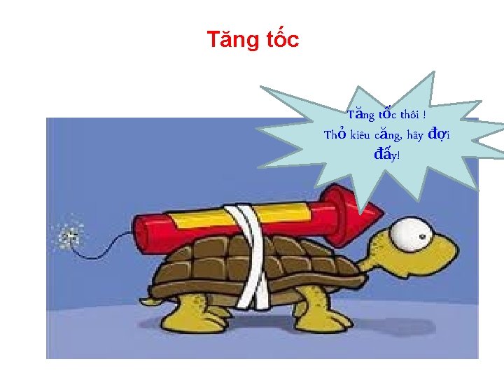 Tăng tốc thôi ! Thỏ kiêu căng, hãy đợi đấy! 