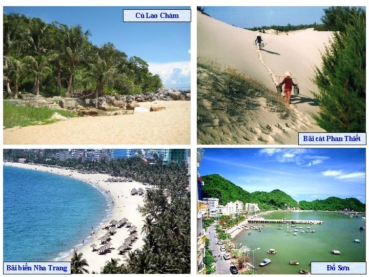 Cù Lao Chàm Bãi cát Phan Thiết Bãi biển Nha Trang Đồ Sơn 